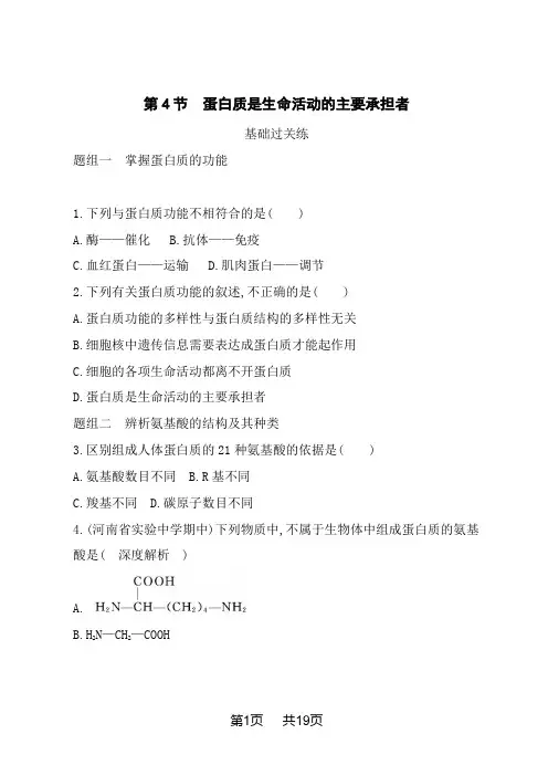 人教版高中生物必修第1册 第2章 组成细胞的分子 第4节 蛋白质是生命活动的主要承担者