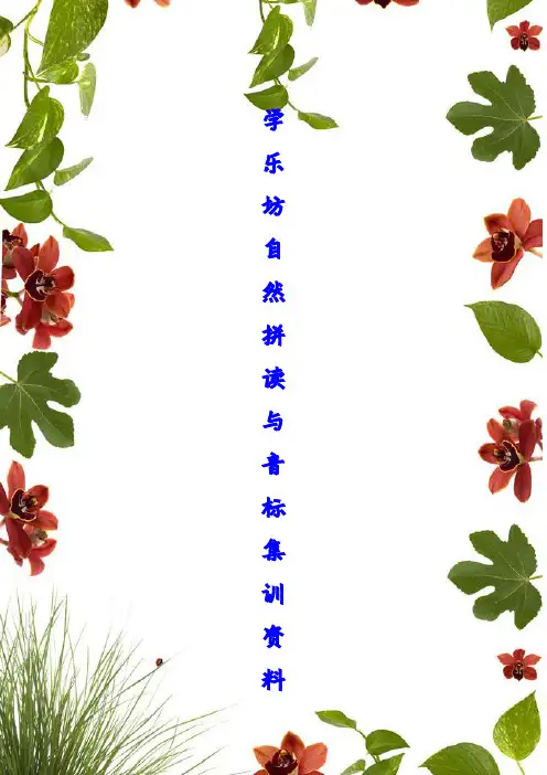 最新整理自然拼读法集训资料复习课程