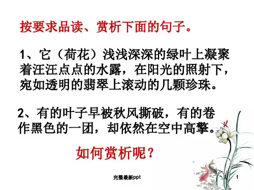 初中中考语文语句赏析专题讲解ppt课件