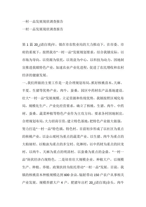 一村一品发展现状调查报告