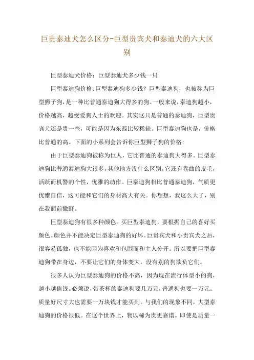 巨贵泰迪犬怎么区分-巨型贵宾犬和泰迪犬的六大区别
