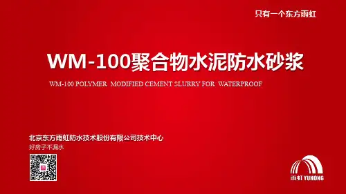 WM-100聚合物水泥防水砂浆
