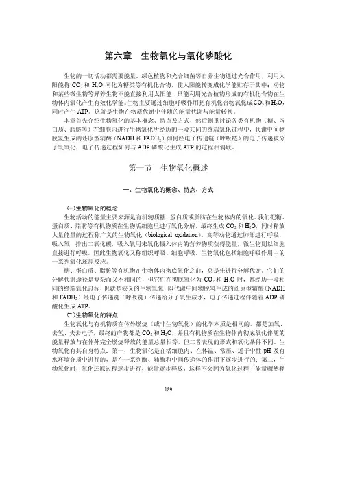 生物氧化与氧化磷酸化