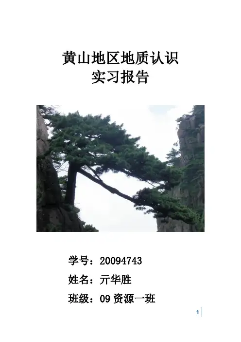 黄山实习报告