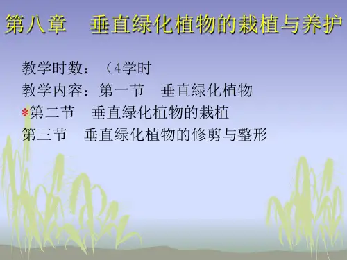 垂直绿化植物的栽植与养护PPT模板课件