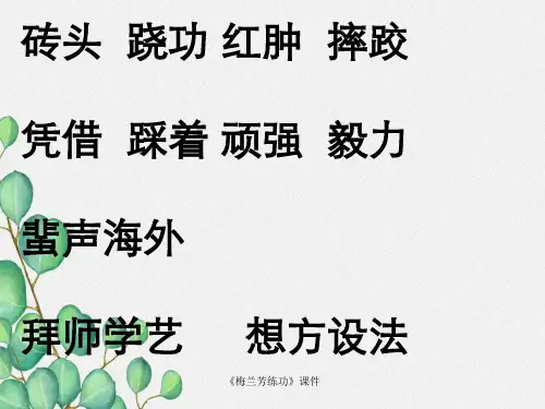 《梅兰芳练功》课件