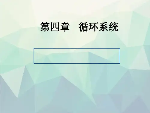循环系统影像学表现(详细、全面)