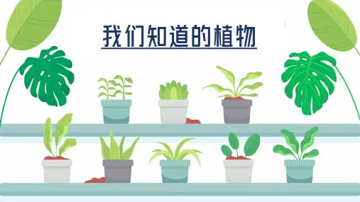 新教科版科学一年级上册《我们知道的植物》ppt教学课件