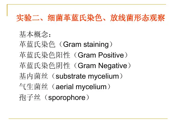 实验二、细菌革蓝氏染色、放线菌形态观察