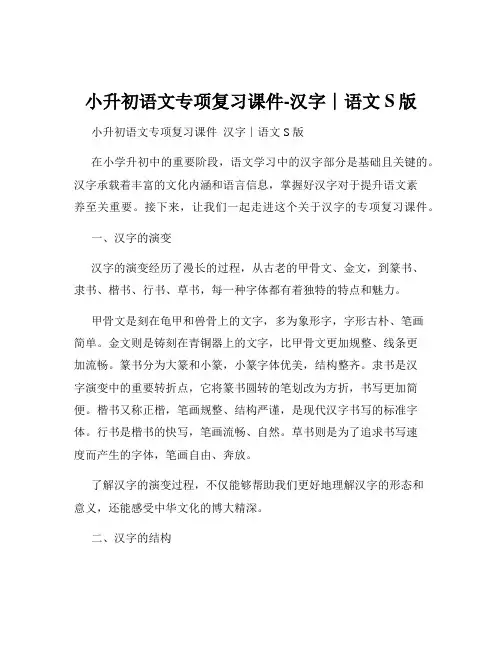 小升初语文专项复习课件-汉字∣语文S版