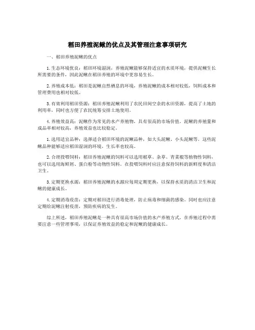 稻田养殖泥鳅的优点及其管理注意事项研究