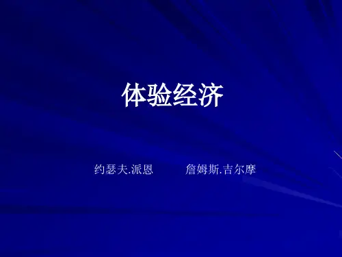 体验经济(ppt 11)