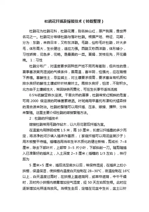 杜鹃花扦插及嫁接技术（转载整理）