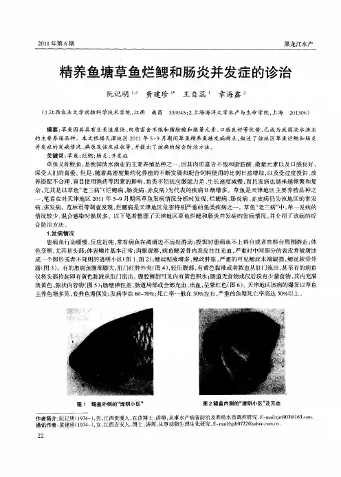 精养鱼塘草鱼烂鳃和肠炎并发症的诊治