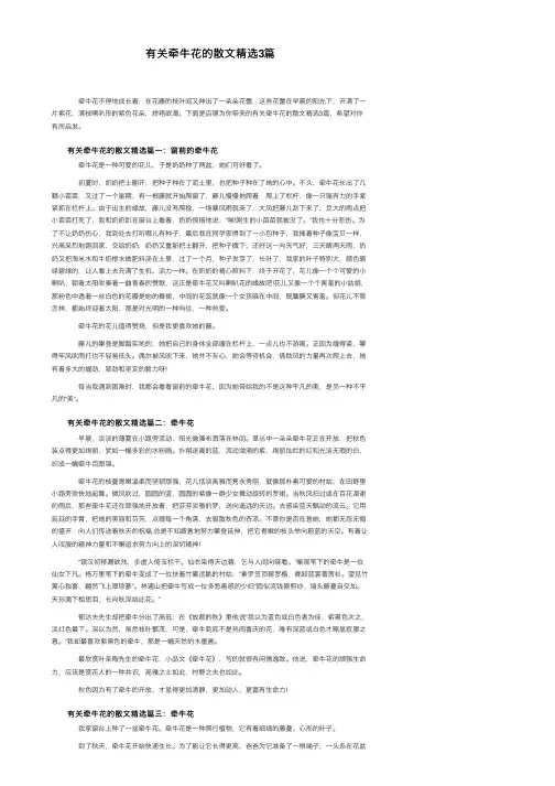 有关牵牛花的散文精选3篇