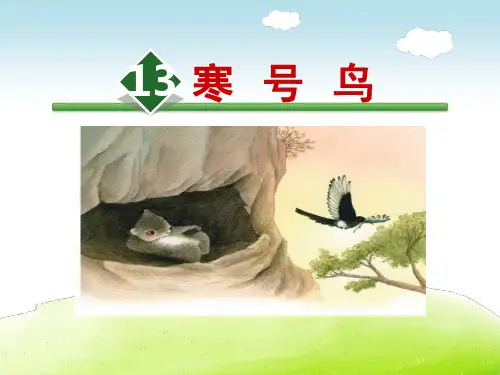 部编版ppt《寒号鸟》精品教学PPT1
