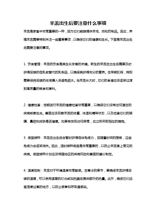 羊羔出生后要注意什么事项