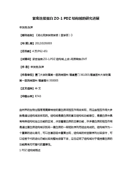 紧密连接蛋白ZO-1 PDZ结构域的研究进展