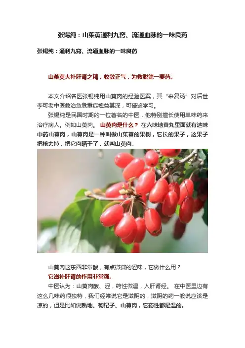 张锡纯：山茱萸通利九窍、流通血脉的一味良药