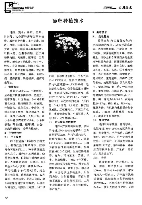 当归种植技术