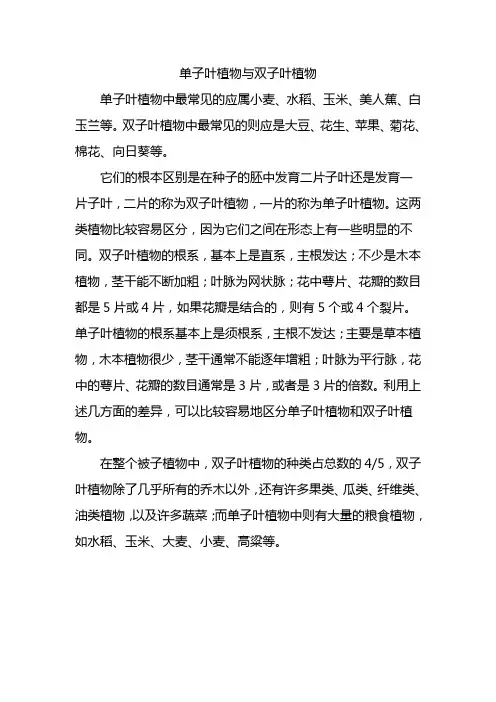 单子叶植物与双子叶植物