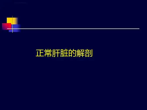肝脏超声诊断模板ppt课件