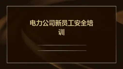电力公司新员工安全培训