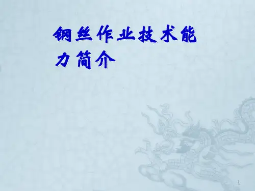 试井钢丝作业技术ppt课件