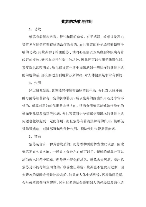 紫苏的功效与作用
