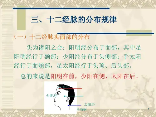 十二经脉的分布规律ppt课件