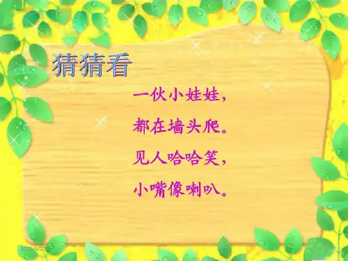 牵牛花PPT精选文档