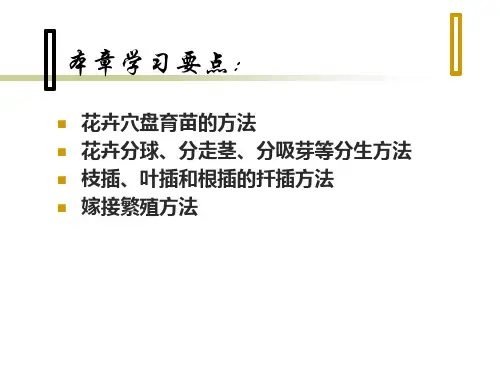 花卉繁殖ppt课件