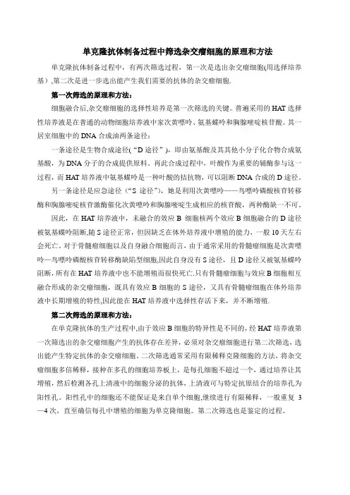 单克隆抗体制备中筛选杂交瘤细胞的原理
