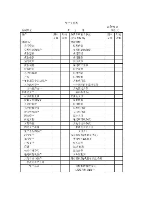 新会计准则会计报表及附注