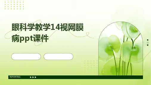 眼科学教学14视网膜病PPT课件