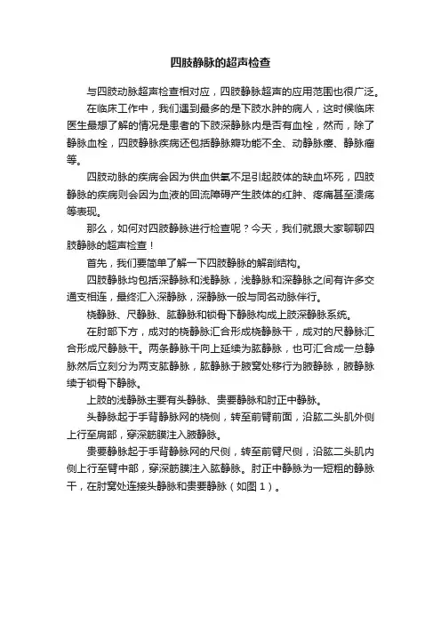 四肢静脉的超声检查