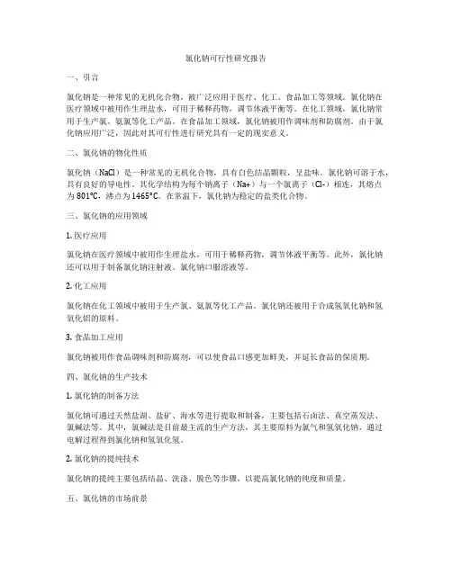 氯化钠可行性研究报告