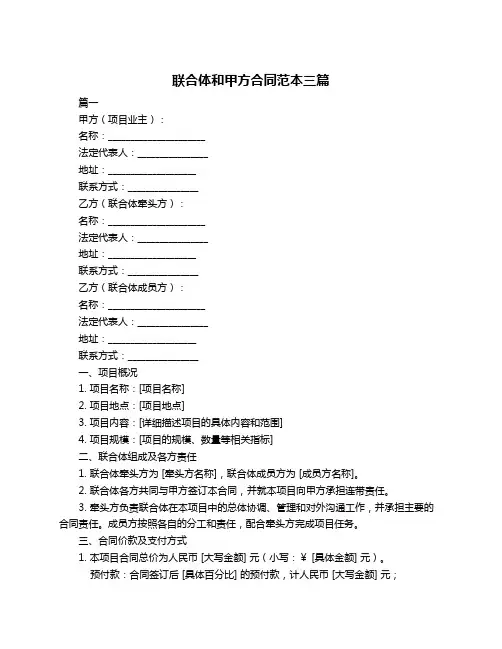 联合体和甲方合同范本三篇