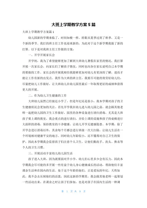 大班上学期教学计划5篇