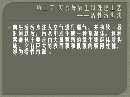 水污染控制工程废水好氧生物处理工艺——活性污泥法