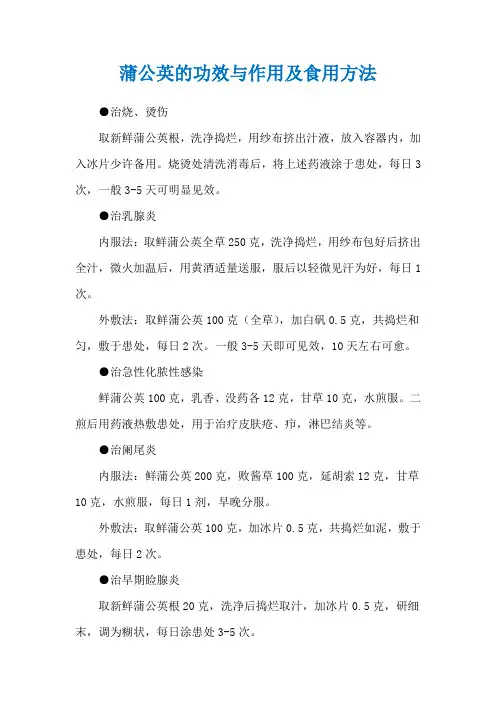蒲公英的功效与作用及食用方法