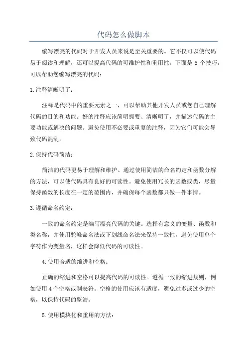 代码怎么做脚本