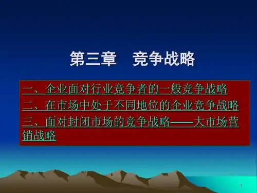 竞争战略的讲义文档