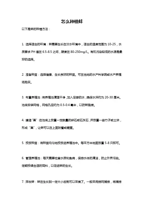 怎么种植蚌
