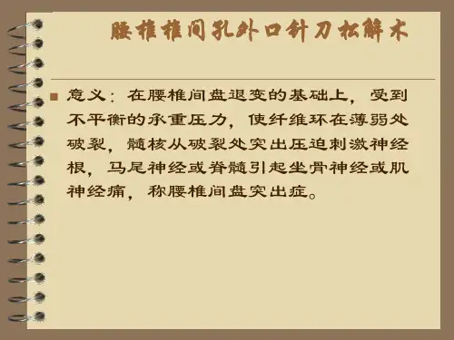 腰椎椎间孔外口针刀松解术医学资料教程