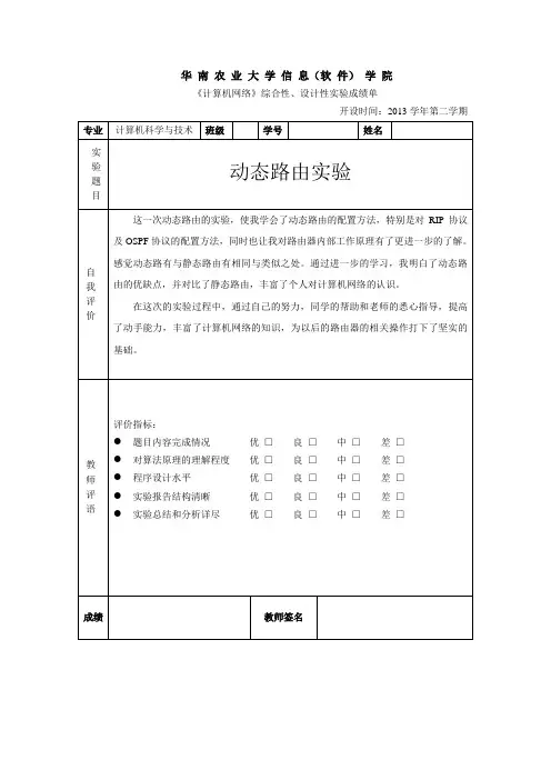 计算机网络综合性实验报告动态路由配置