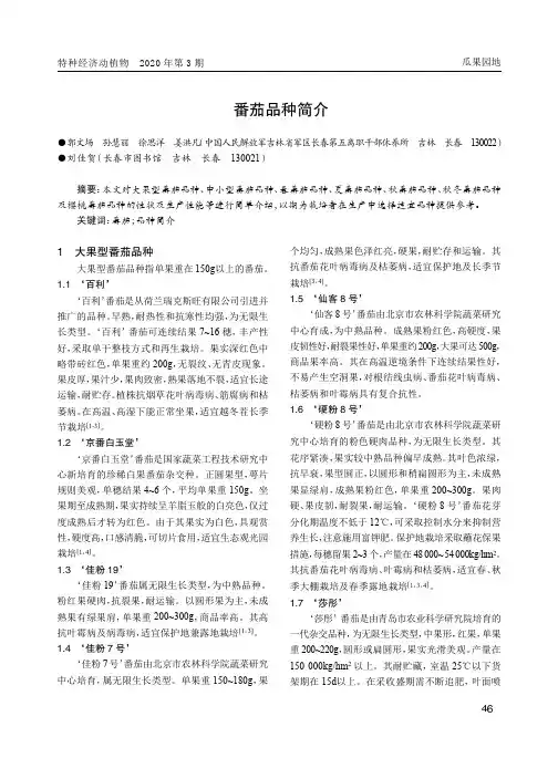 番茄品种简介