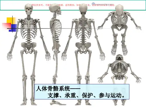 保护脊柱专业知识讲座课件