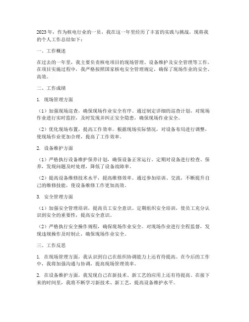 核电个人工作总结范文