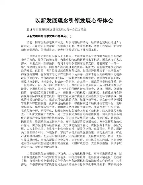 以新发展理念引领发展心得体会